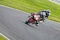 anglesey;brands-hatch;cadwell-park;croft;donington-park;enduro-digital-images;event-digital-images;eventdigitalimages;mallory;no-limits;oulton-park;peter-wileman-photography;racing-digital-images;silverstone;snetterton;trackday-digital-images;trackday-photos;vmcc-banbury-run;welsh-2-day-enduro